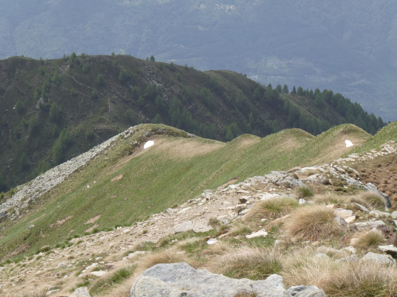 Monte Rolla