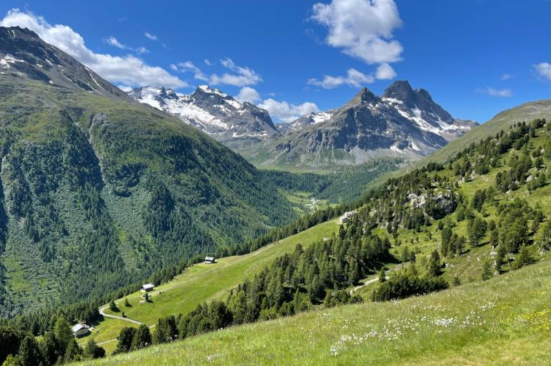 Val Viola