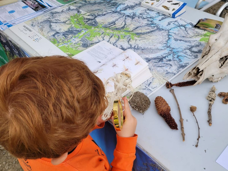 Educazione ambientale Riserva Val di Mello