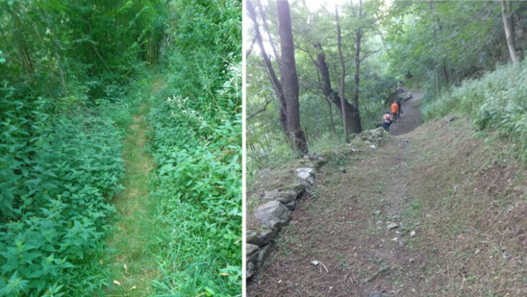 Strada cavalli pulizia straordinaria Verceia