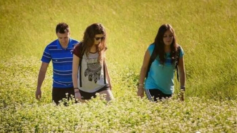 Passeggiata campi grano saraceno Teglio