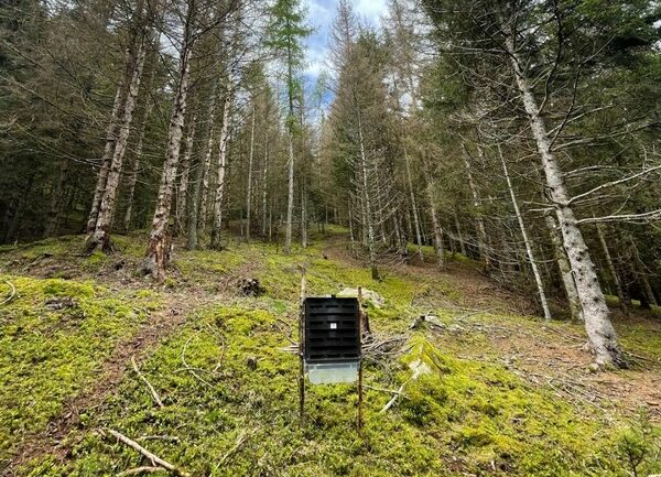 Monitoraggio bostrico Parco Orobie Valtellinesi