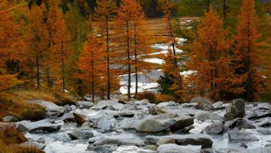 Predarossa autunno Val Masino Giancarlo Airoldi
