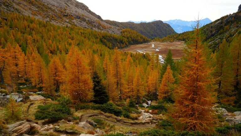 Predarossa autunno Val Masino Giancarlo Airoldi