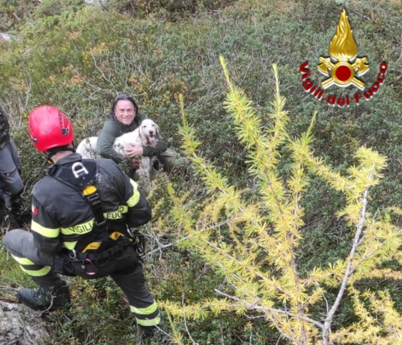Cane crepaccio salvataggio Vigili del Fuoco
