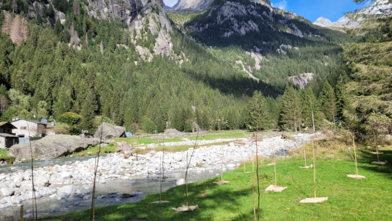 Riserva Naturale Val di Mello piantumazione