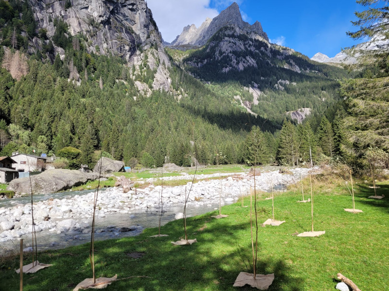 Riserva Naturale Val di Mello piantumazione
