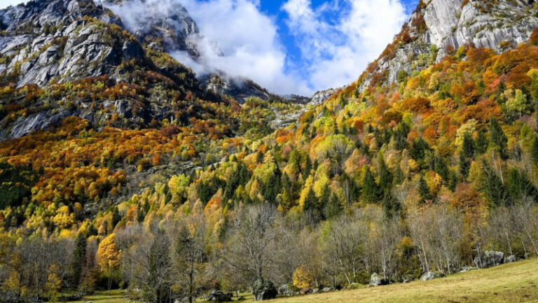 Val di Mello autunno