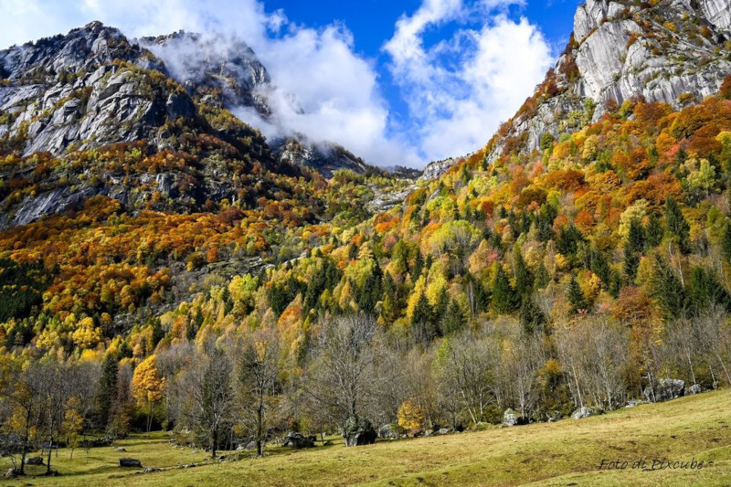 Val di Mello autunno