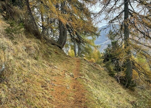 GVO Parco delle Orobie Valtellinesi Val Lesina