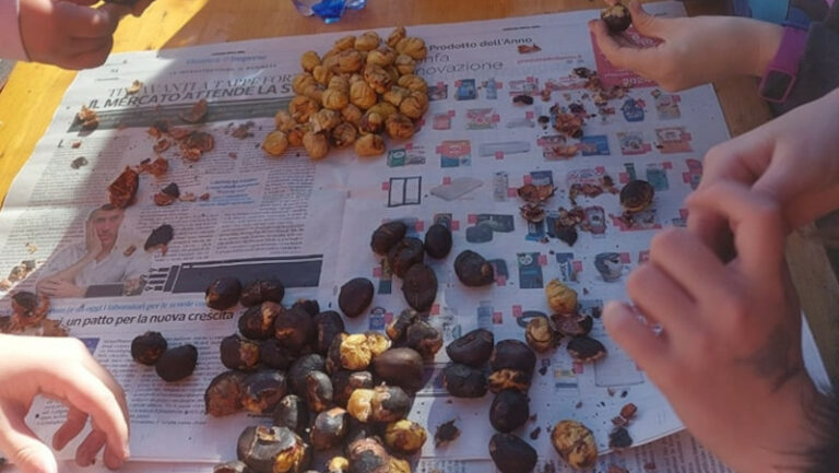 Castagnata autunno Colorina