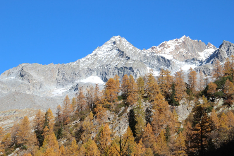 Monte Disgrazia Pizzo Pioda