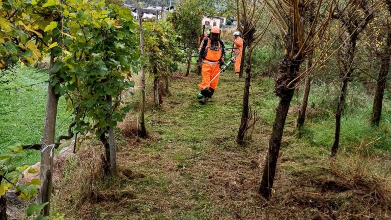 Gruppo di Protezione Civile degli Alpini al lavoro lungo il tracciato del Valtelline Wine Trail