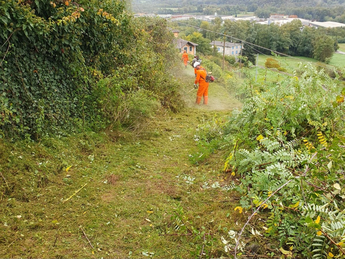 Gruppo di Protezione Civile degli Alpini al lavoro lungo il tracciato del Valtelline Wine Trail