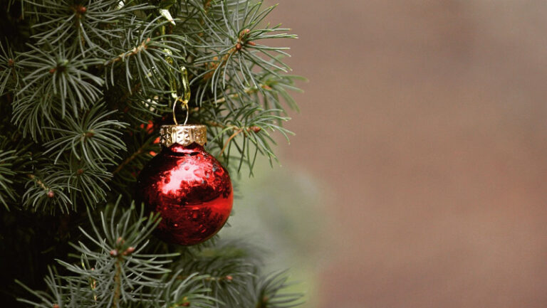 Albero di Natale