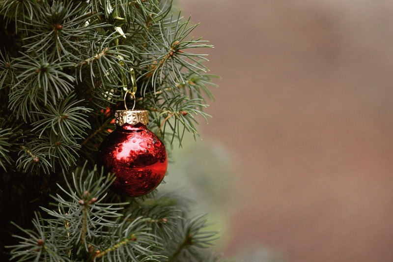 Albero di Natale