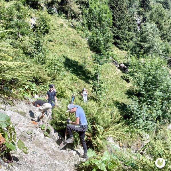 Sentiero GVO 164/115 Parco delle Orobie Valtellinesi