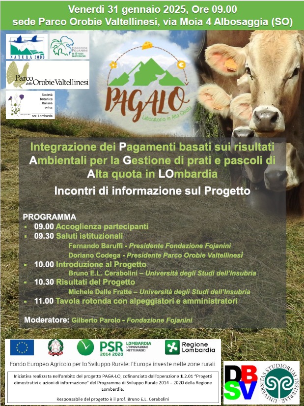 Prati pascoli alpini Parco Orobie Valtellinesi