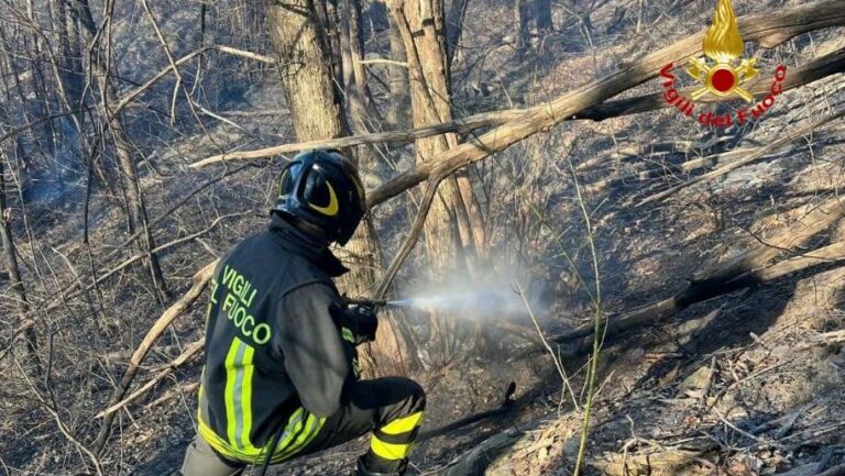 Incendio boschivo
