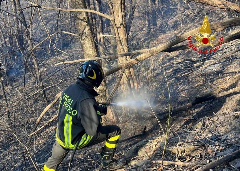 Incendio boschivo