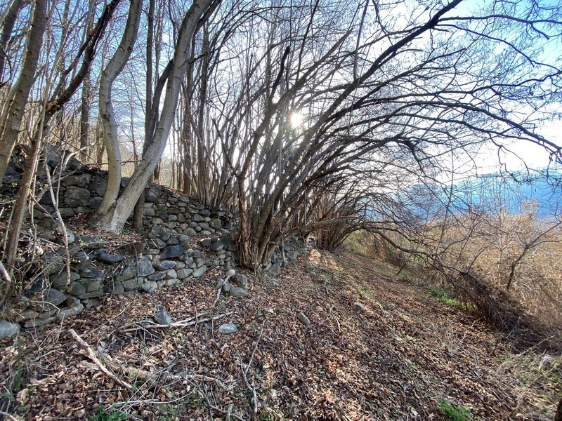 Anello Davaglione Montagna in Valtellina pulizia AMM