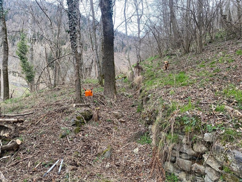 Anello Davaglione Montagna in Valtellina pulizia AMM