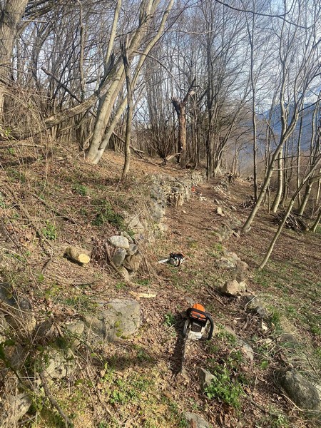 Anello Davaglione Montagna in Valtellina pulizia AMM