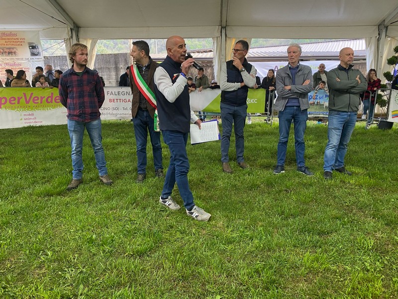 AgriValtellina Colorina Mostra provinciale Razza Bruna