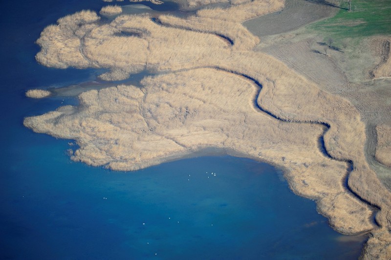Riserva Naturale Pian di Spagna