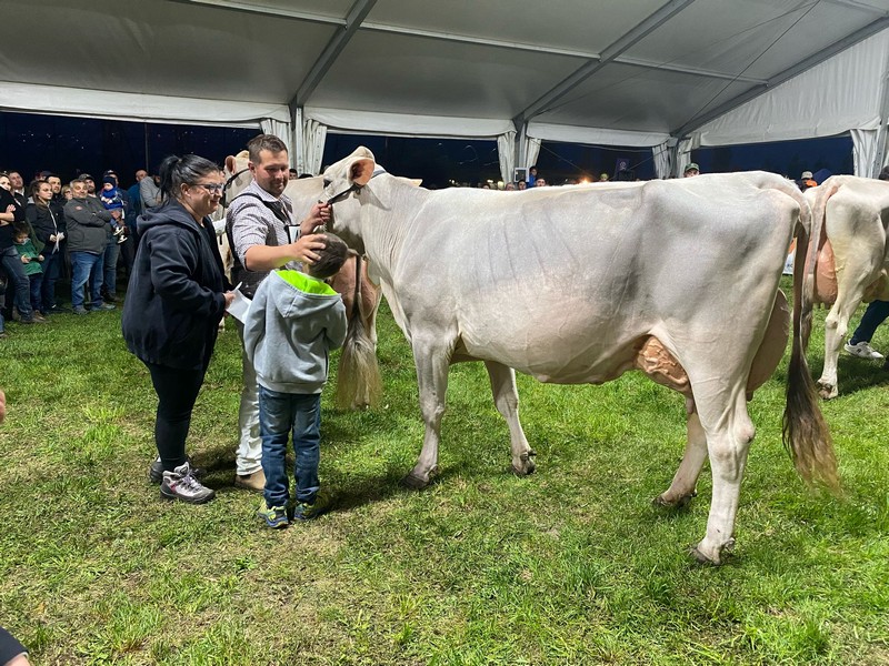 AgriValtellina Colorina Mostra provinciale Razza Bruna