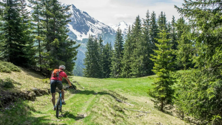 Aprica bicicletta