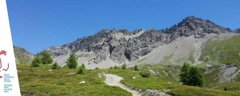 Parco Nazionale Stelvio