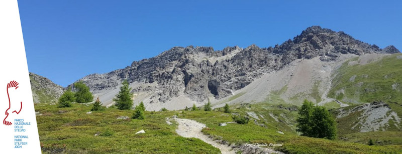 Parco Nazionale Stelvio