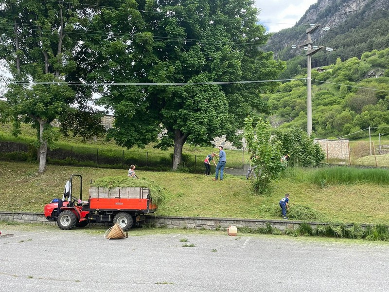 Giornate Ecologiche Sondalo Frontale