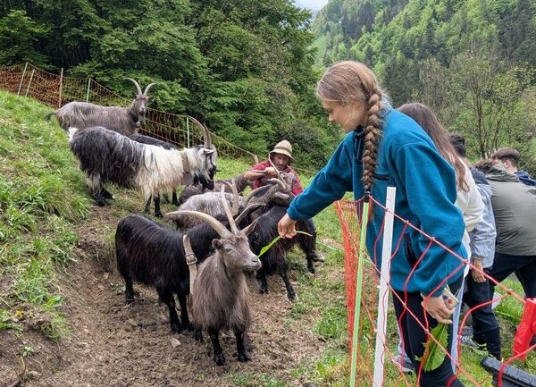ITS Agroalimentare Sondrio Ferdy Wild