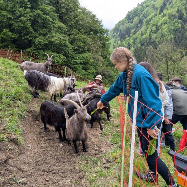 ITS Agroalimentare Sondrio Ferdy Wild
