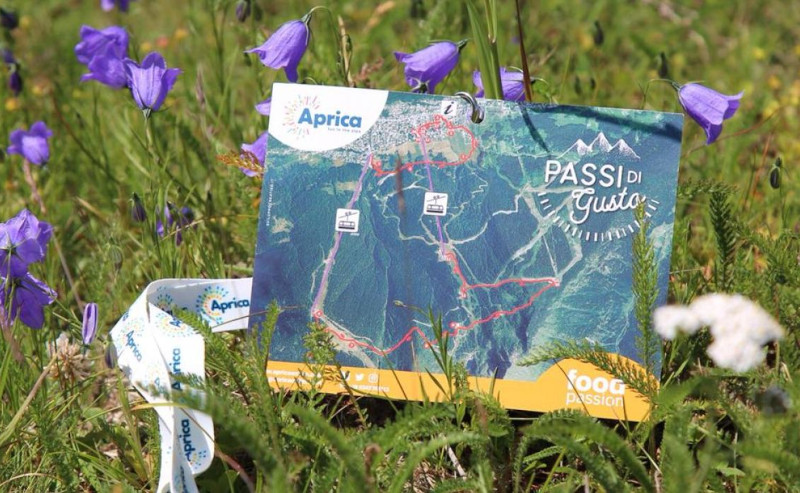 Aprica Passi di Gusto