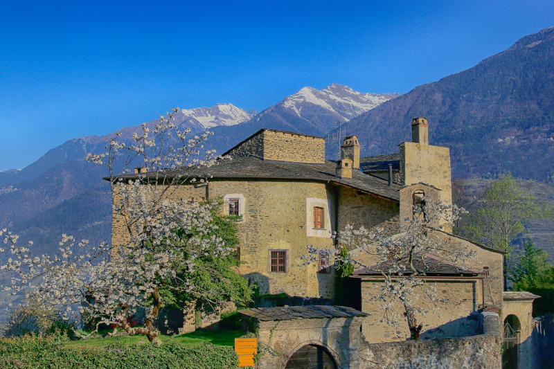 Fondazione Albosaggia