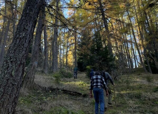 sentiero gallo cedrone parco orobie valtellinesi
