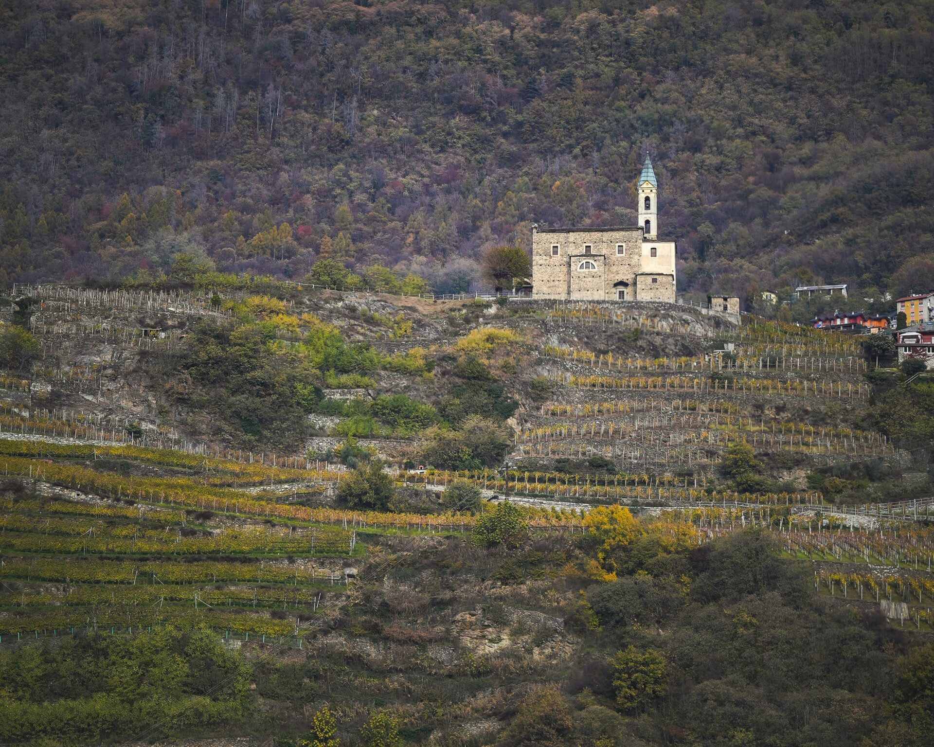 Valtellina 