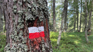 Parco Orobie Valtellinesi segnaletica sentieri
