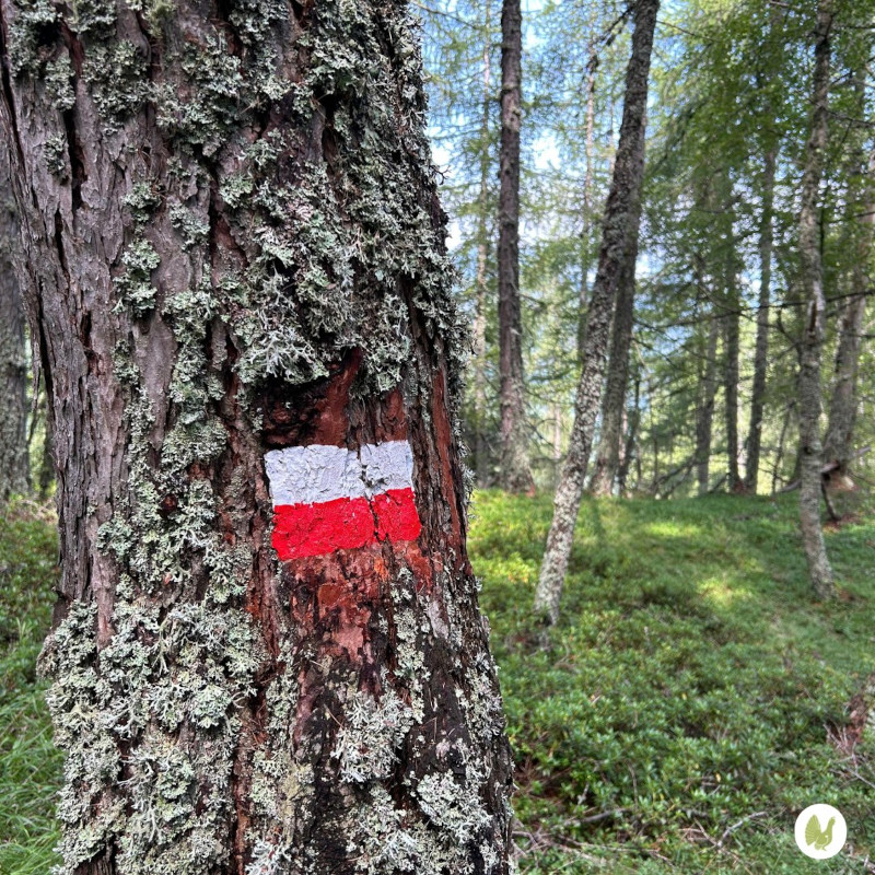 Parco Orobie Valtellinesi segnaletica sentieri