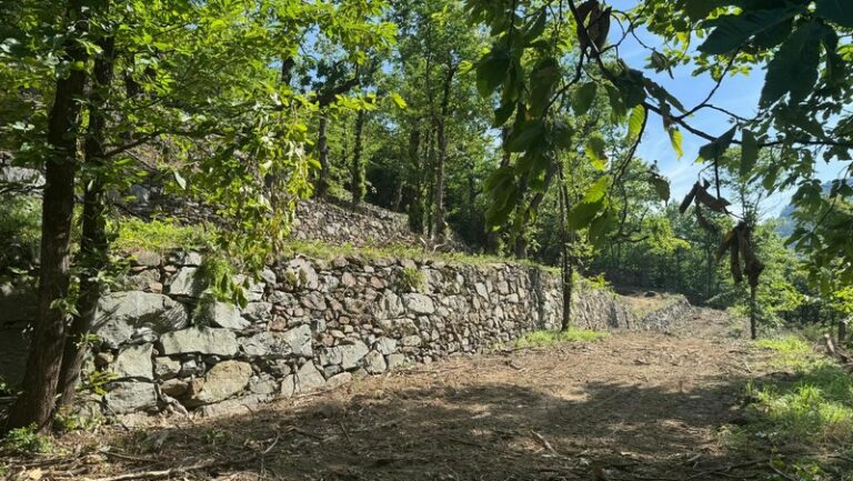 Sondalo recupero terrazzamenti