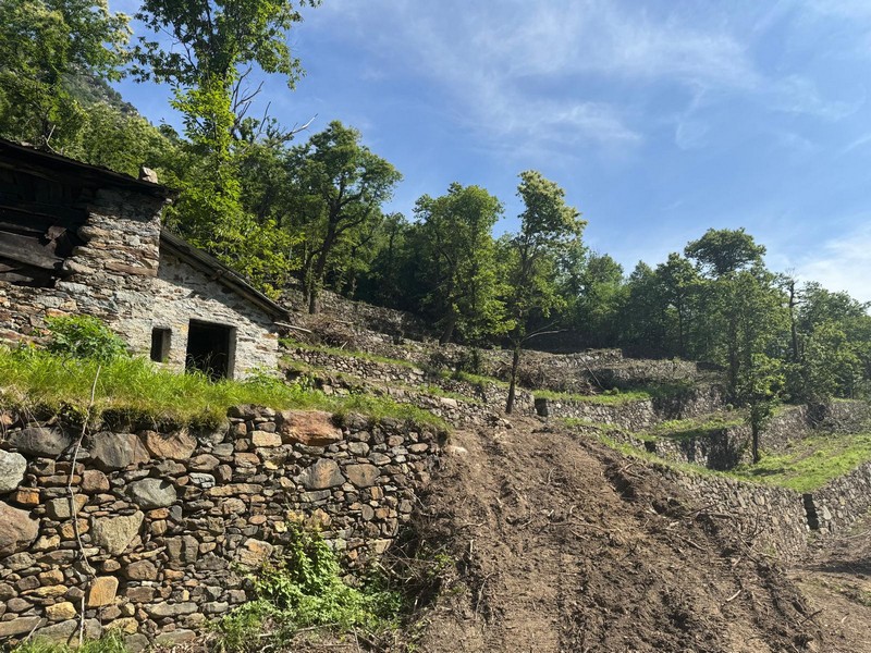 Sondalo recupero terrazzamenti