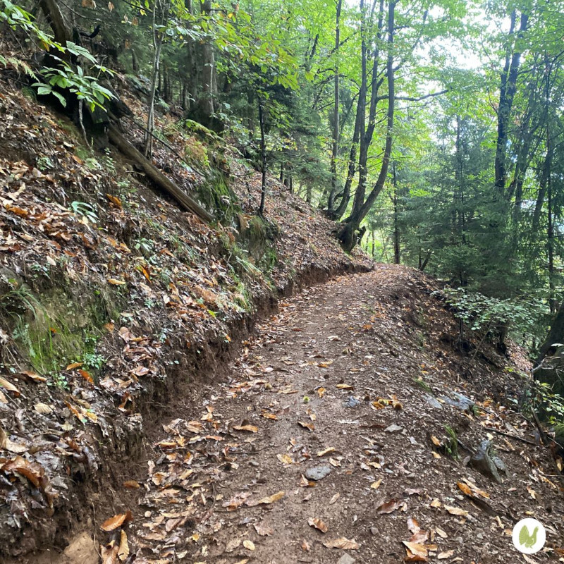 SentieroS222 Sovalzo-Bernasca manutenzione Parco Orobie Valtellinesi