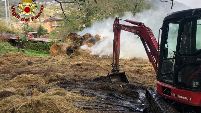 Traona incendio rotoballe fieno vigili del fuoco