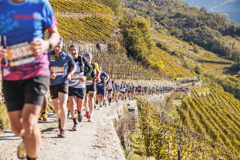 Valtellina Wine Trail