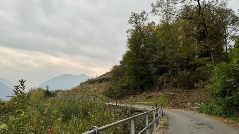 Taglio piante Teglio