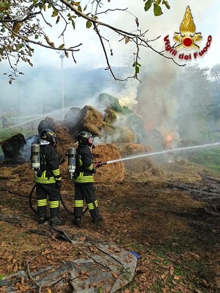 Traona incendio rotoballe fieno vigili del fuoco