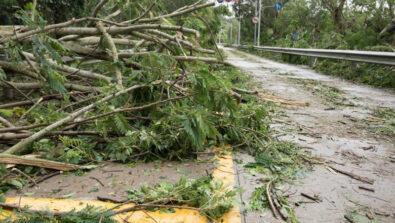 alluvione